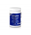 Natysal Colageno con Magnesio citrato, Ac Hialuronico y Vit C 327 gr